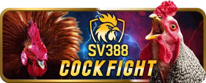 Chương trình VIP qh88b win